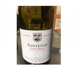 Santenay - blanc - 2020